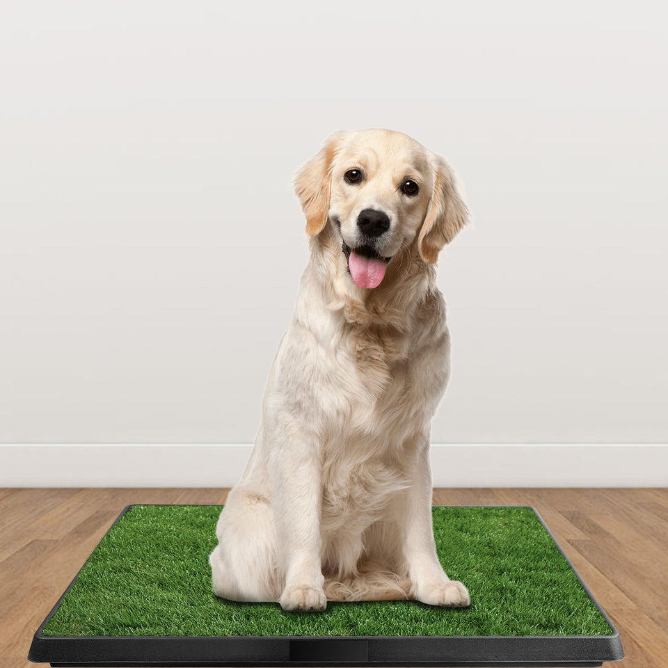 1Pc Dog Potty Training Artificial Grass Pad Pet Cat Toilet Trainer Mat Puppy