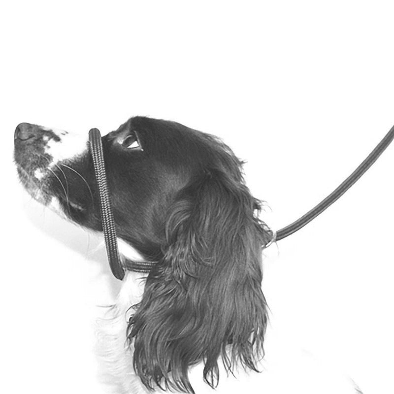 Pet Dog Mouth Leash Nylon Dog Walking