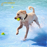 Pet GPS Global Locator Health Monitoring