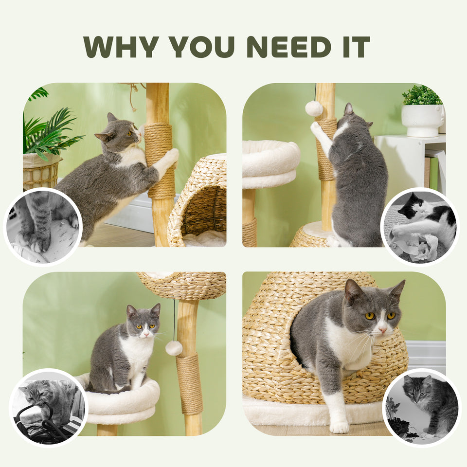 41" Cat Tree for Indoor Cats with Wooden Cat Scratching Posts